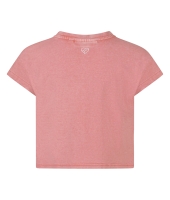 D Zine Asente Z10202 Rose oud