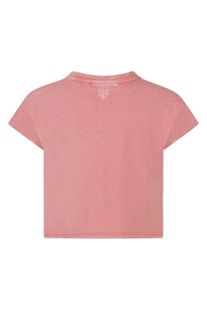 D Zine Asente Z10202 Rose oud