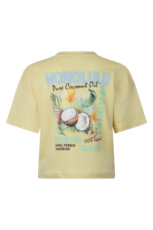 D Zine Alfreda Z10203 Geel