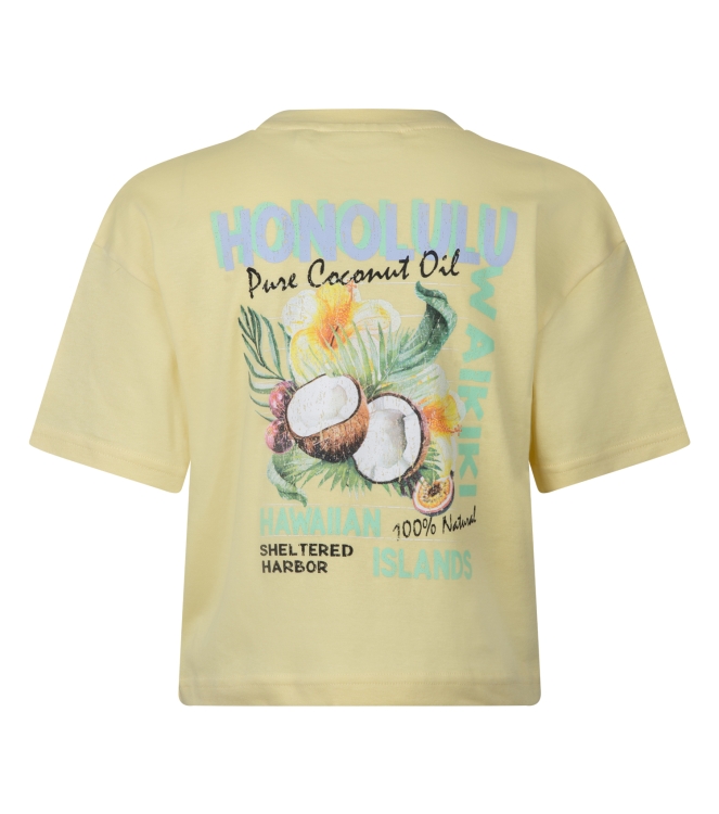 D Zine Alfreda Z10203 Geel