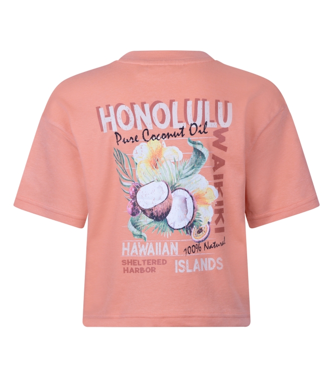 D Zine Alfreda Z10203 Oranje licht zalm