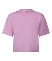 D Zine Aagje Z10204 Rose