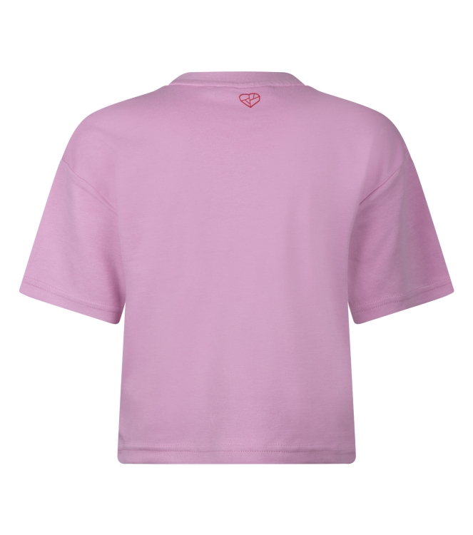 D Zine Aagje Z10204 Rose