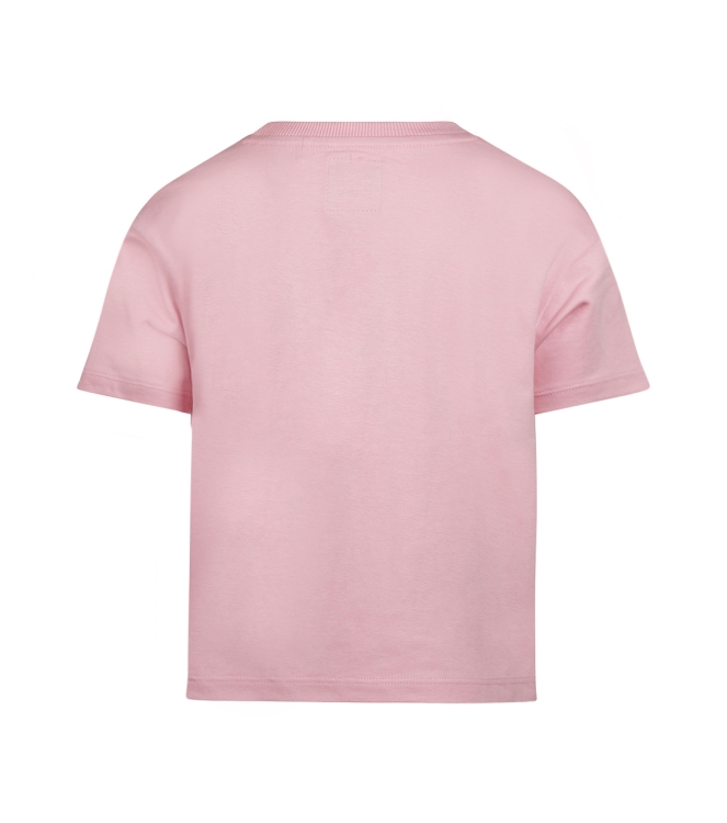 Dirkje N58987-37 Rose fel