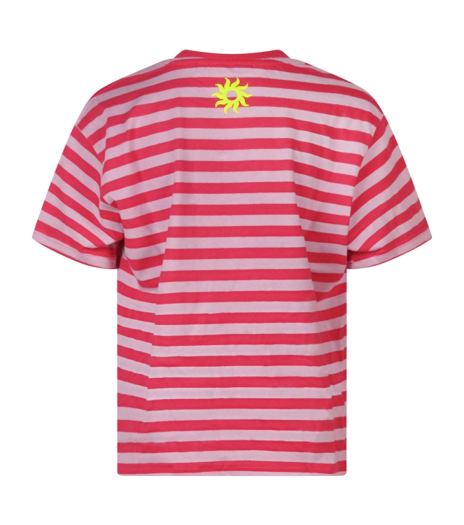 D Zine Alegria Z10697 Rose donker