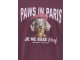 kids only 15385206 Paars donker aubergine