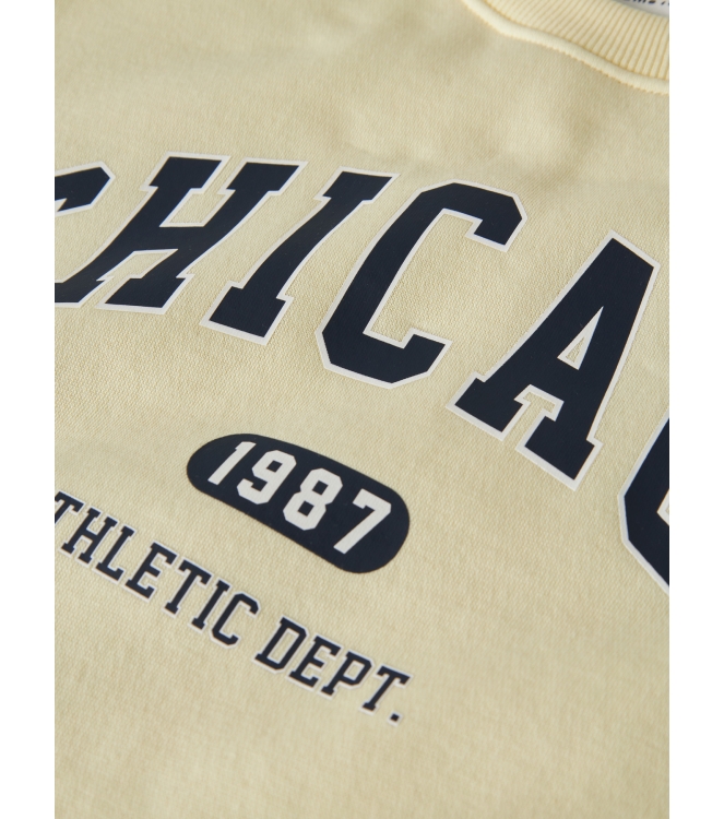 Name It 13254507 Geel