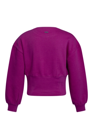 Persival 2910404 W90138 Rose cyclaam