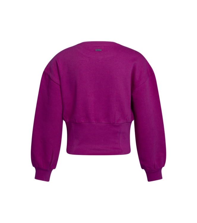 Persival 2910404 W90138 Rose cyclaam