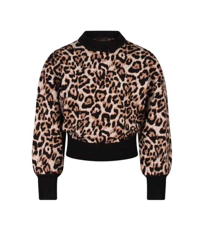 D Zine Tanomi W10117 Ecru naturel