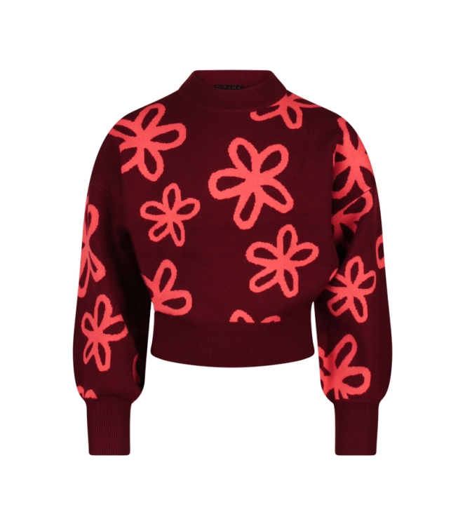 D Zine Tanomi W10117 Rood bordo