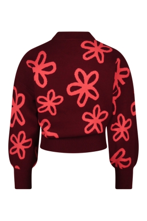D Zine Tanomi W10117 Rood bordo