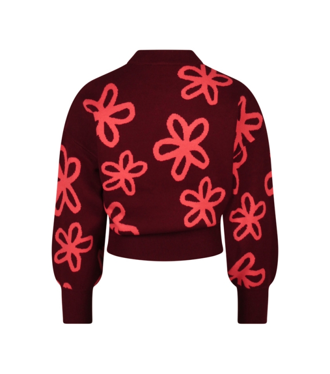 D Zine Tanomi W10117 Rood bordo