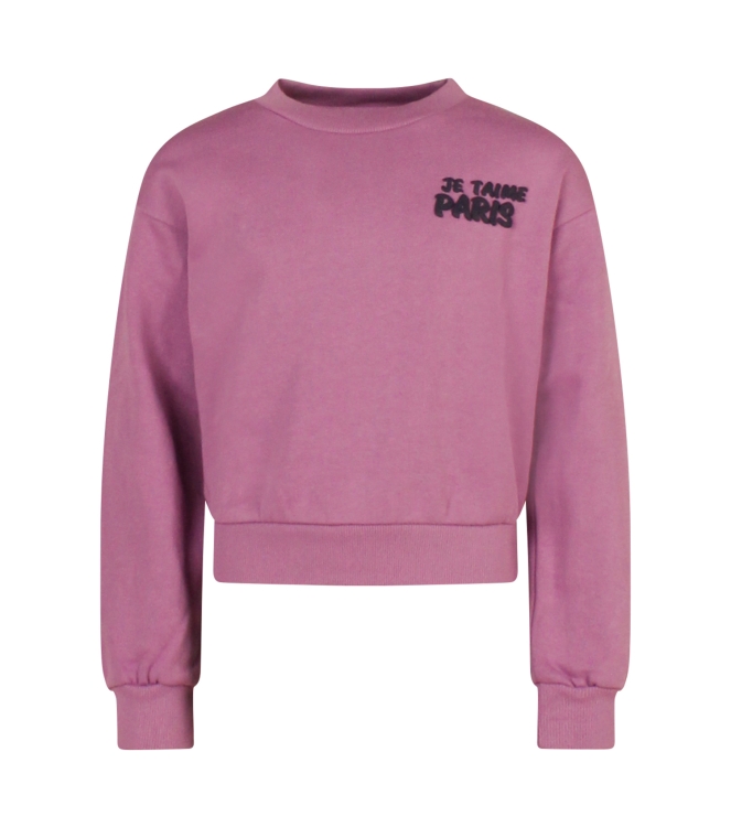 D Zine Tinka W10126 Paars lavendel lila