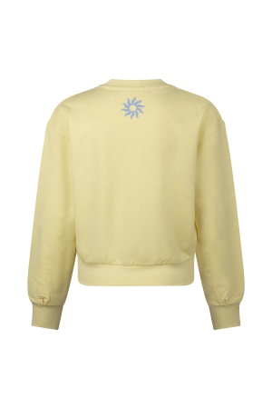 D Zine Anneleen Z10422 Geel