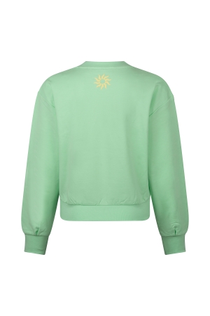 D Zine Anneleen Z10422 Groen licht