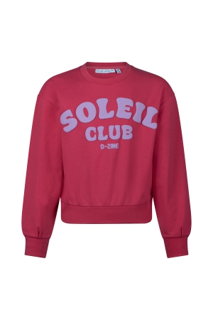 D Zine Anneleen Z10422 Rose donker