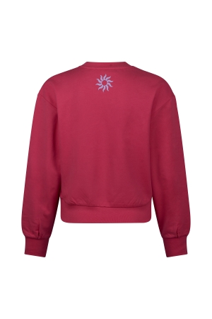 D Zine Anneleen Z10422 Rose donker