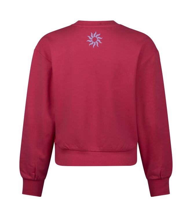 D Zine Anneleen Z10422 Rose donker