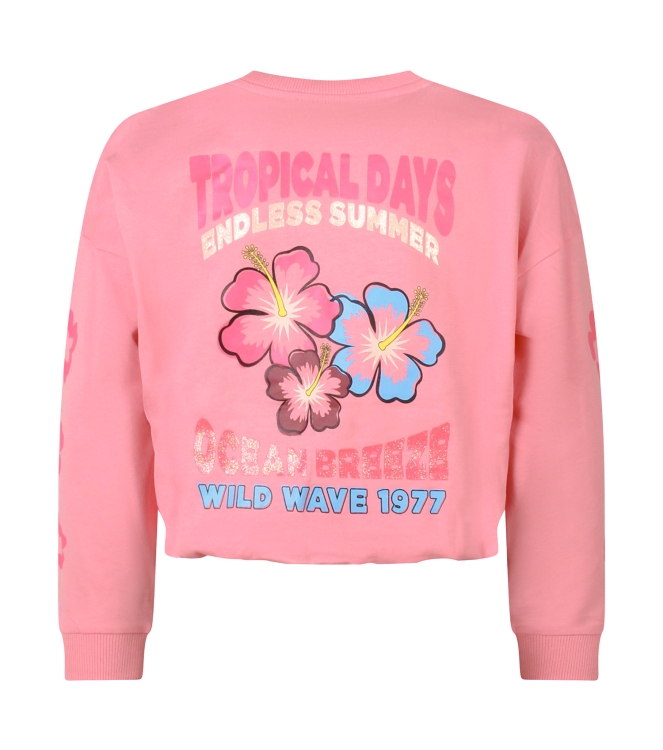 Persival Miley Z10326 Rose