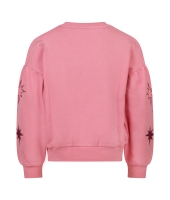 D Zine Babse W20238 Rose