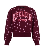 D Zine Beate W20086 Rood bordo