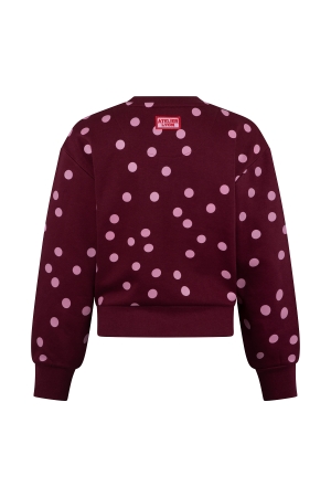D Zine Beate W20086 Rood bordo
