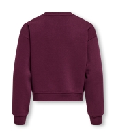 kids only 15353354 Paars donker aubergine