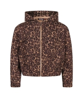Persival 3110404 W10040 Bruin midden