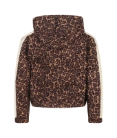 Persival 3110404 W10040 Bruin midden