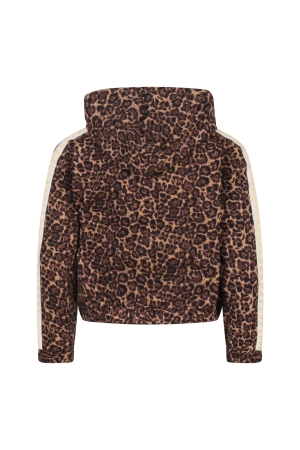 Persival 3110404 W10040 Bruin midden