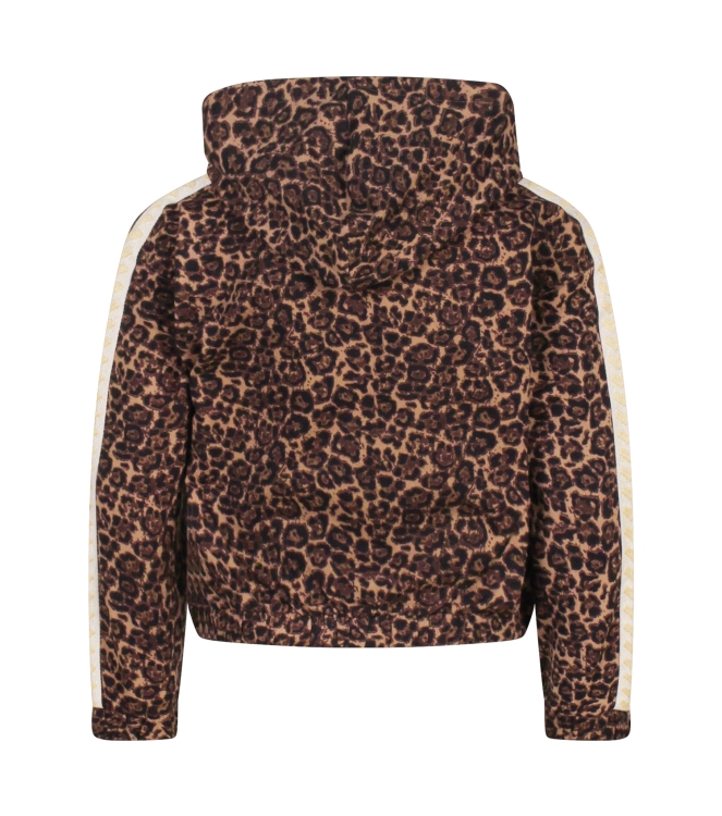 Persival 3110404 W10040 Bruin midden