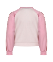 Persival 3210404 Z10089 Rose