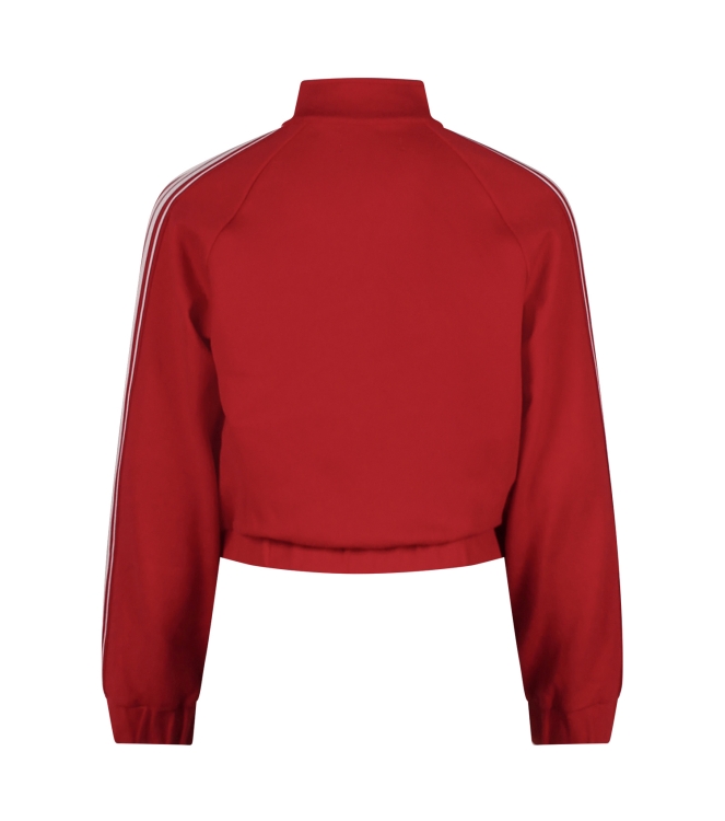 D Zine Abby Z10074 Rood midden