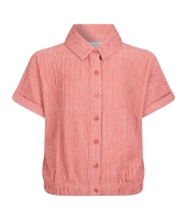 D Zine Asima Z10184 Rose oud