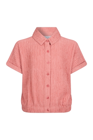 D Zine Asima Z10184 Rose oud