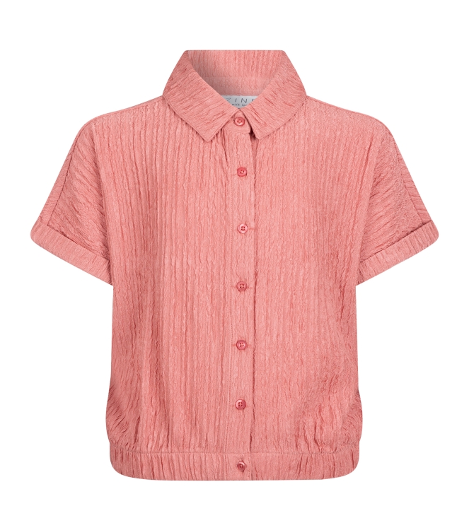 D Zine Asima Z10184 Rose oud