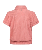 D Zine Asima Z10184 Rose oud