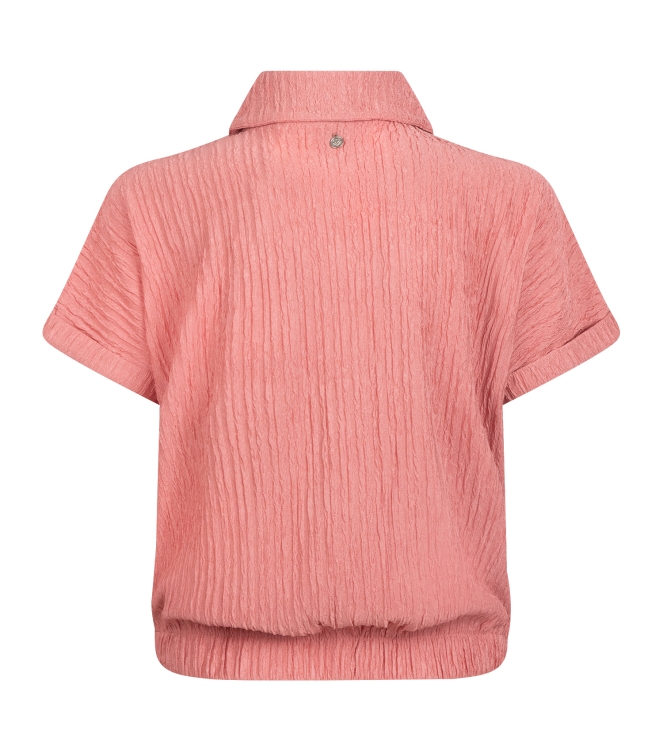 D Zine Asima Z10184 Rose oud