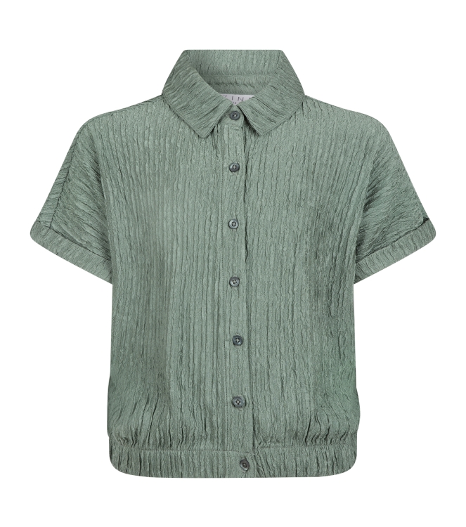 D Zine Asima Z10184 Groen army