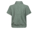 D Zine Asima Z10184 Groen army