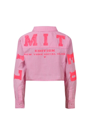 D Zine Arya Z10199 Rose