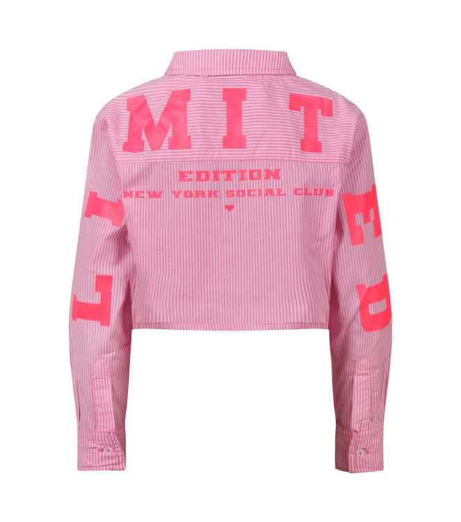 D Zine Arya Z10199 Rose