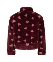 Persival Fenda W20226 Rood bordo