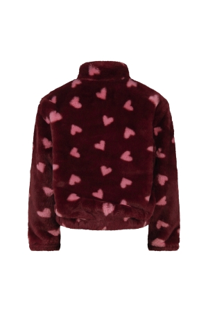 Persival Fenda W20226 Rood bordo