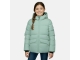 Cars jeans 51457 Groen licht