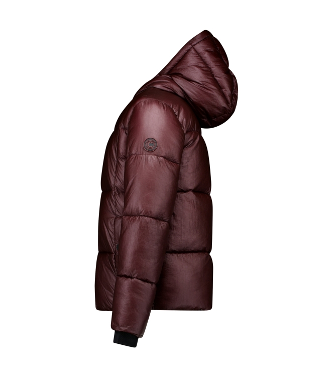 Cars jeans 53957 Rood bordo