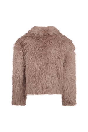 D Zine 3313101 W20200 Bruin taupe