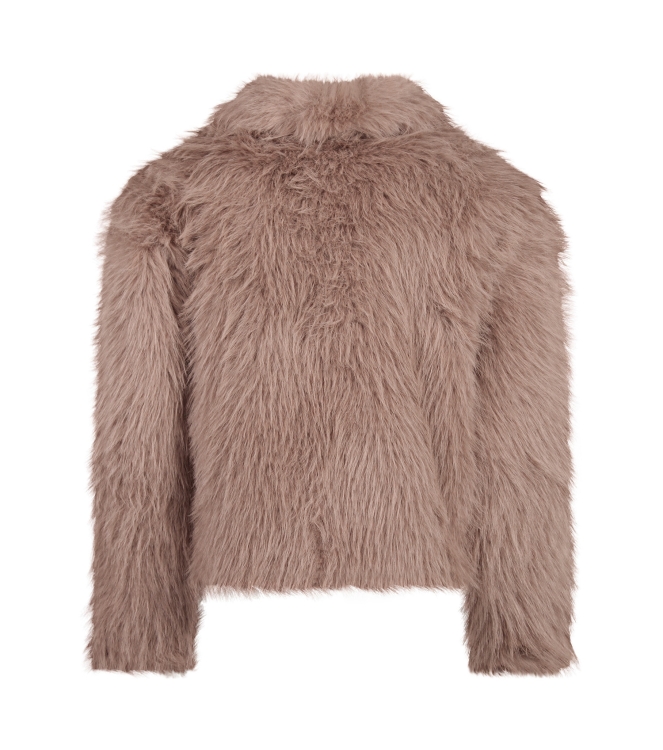 D Zine 3313101 W20200 Bruin taupe