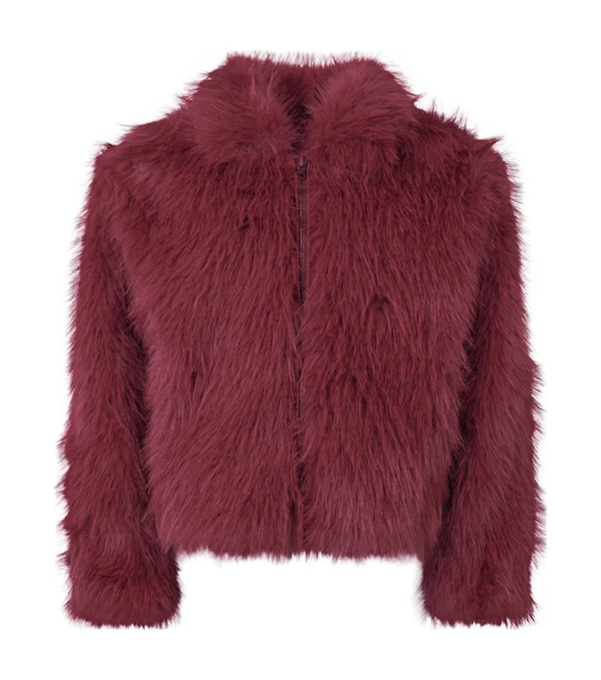 D Zine 3313101 W20200 Rood bordo